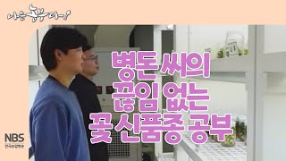 [나는농부다 245회] 병돈 씨의 끊임 없는 꽃 신품종 공부