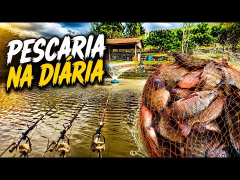 TESTE DA NOVA MASSA PESCARIA NA DIÁRIA RIO BOM PR PESQUEIRO Do JURA 