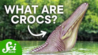 5 of the Strangest Prehistoric Crocs