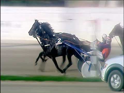 Trotto 07/12/2019 - 2ª corsa