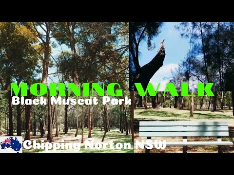 Morning Walk @ Black Muscat Park  Chipping Norton NSW