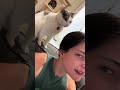 Funniest Cat Kitten Meowing Crying 1605