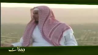 بينات 1428 29 تأملات في الجزء التاسع والعشرين من القرآن العظيم image