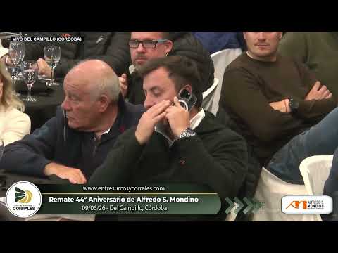 09-06-26 - Remate 44º Aniversario de Alfredo S. Mondino - Del Campillo, Córdoba