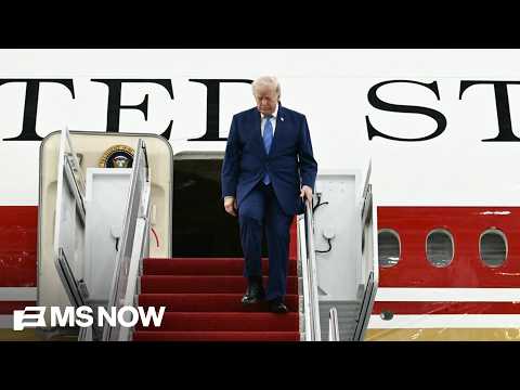 Maggie Haberman: Trump's circle thinks he can get away with 'basically anything'