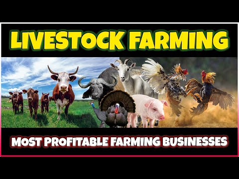 , title : 'Most Profitable Livestock Farming Business Ideas | Best Profitable Animal Farming Businesses'