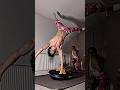 I HATED The Gym So I Did THIS Calisthenics Motivation Gym Transformation Gymmotivation