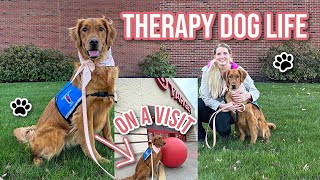 Our Experience as a New Therapy Dog Team | What Are Visits Like?!