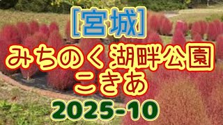 [Miyagi] Michinoku Lakeside National Government Park #Kochia♥♥♥