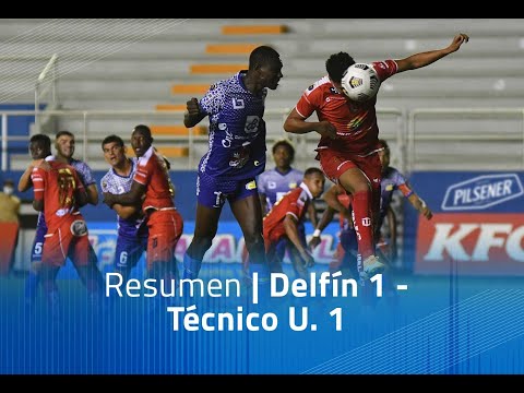 Resumen: Delfín 1 - técnico U. 1