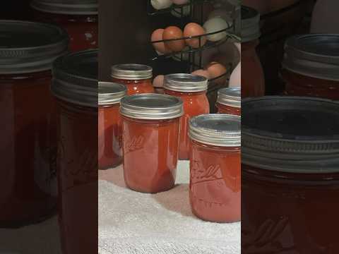 How to make & can ketchup from tomatoes: SO EASY!🍅👏   #canning #tomato #homestead #diy #tips