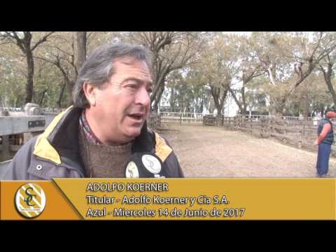 14-06-17 Nota Adolfo Koerner - Adolfo Koerner y Cia S.A. - Azul