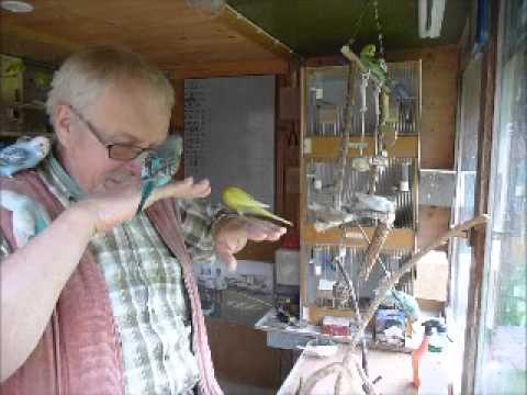 2013 06 24 Der Wellifluestererfilm des Tages Teil 2v2