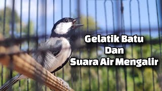 Download lagu GELATIK BATU DAN SUARA AIR MENGALIR UNTUK TERAPI GELATIK BATU MACET BUNYI DAN GB BAHAN mp3