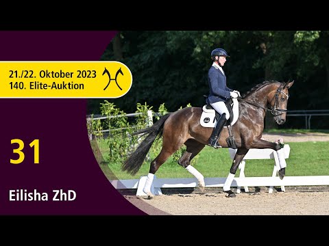 140th Elite-Auction - Oct. 21/22 - No. 31 Eilisha ZhD by Escamillo - Fürstenball