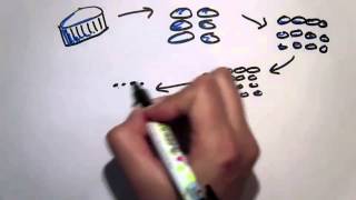 'Journey to the Ocean via Rubbish' by Grace Kim www.take3.org.au