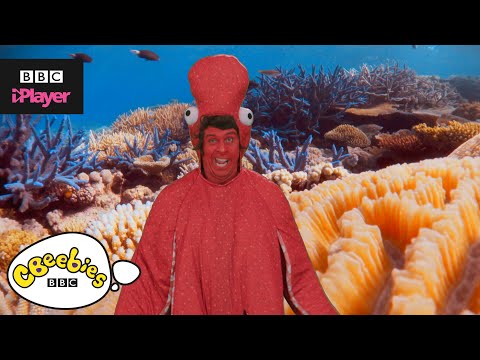 Andy's Aquatic Raps | Funky Octopus | CBeebies