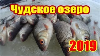 Как ловить в декабре на чудском озере