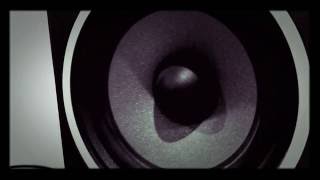 Death By Dingo - Album - The Bass is done!