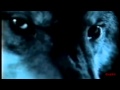 BURZUM - Belus' Død HD (Unofficial Music Video ...