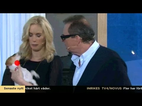 Ny ögonteknik ska upptäcka autism - Nyhetsmorgon (TV4)