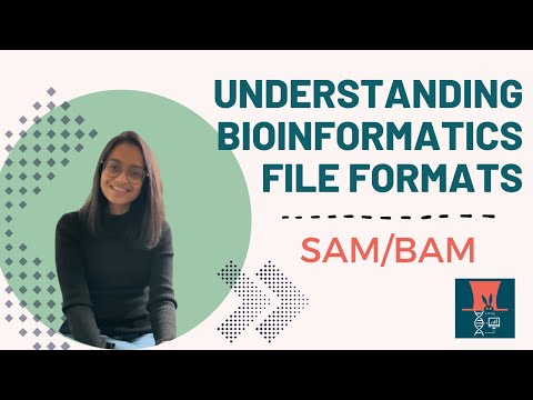 Understanding Bioinformatics File Formats: SAM/BAM