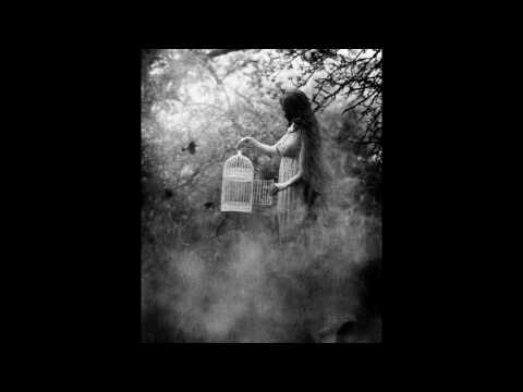 ShyArtist - Ptáček