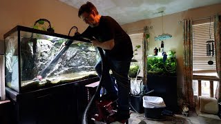 210 Reborn - Creating A Natural Display for the Living Room