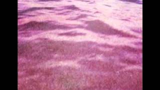 BLACKBIRD BLACKBIRD - Summer Heart