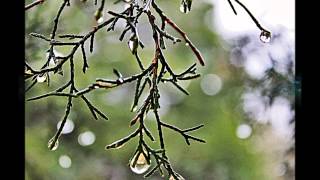 Susanna Hoffs - &quot;November Sun&quot;