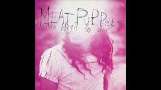Meat Puppets: Never To Be Found