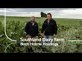 On farm with with Birch Holme Holdings |  PGG Wrightson