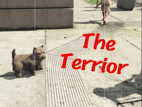 GTA V: West Highland Terrier Location