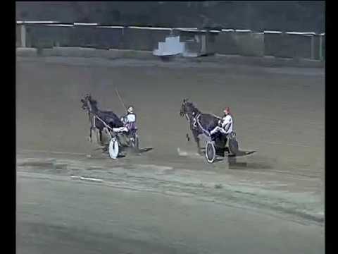 Trotto 05/08/2017 - 2ª prova di qualifica