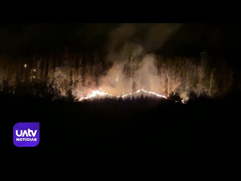 Tres brigadistas fallecieron combatiendo incendio forestal en Los Sauces