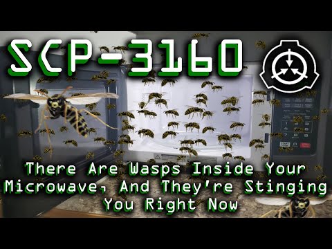 SCP-3160 | There Are Wasps Inside Your Microwave, And They're Stinging You Right Now