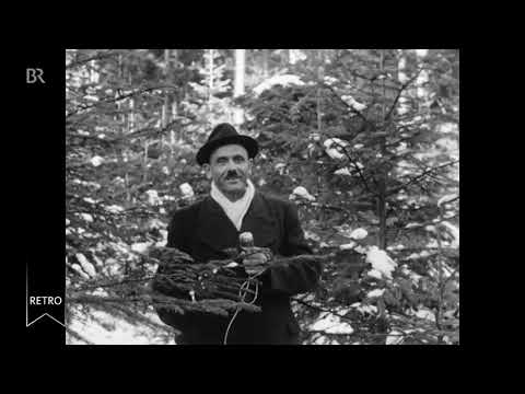 Was kosten Christbäume 1962 in München?