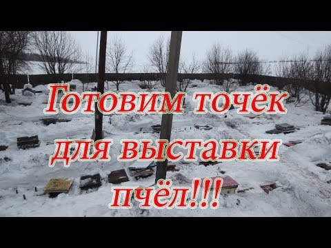 КАК ПОДГОТОВИТЬ ТОЧЁК ДЛЯ РАННЕЙ ВЫСТАВКИ ПЧЁЛ ИЗ ЗИМОВНИКА🔥🔥🔥