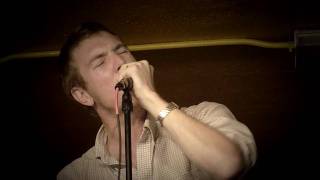 The Walkmen - Juveniles