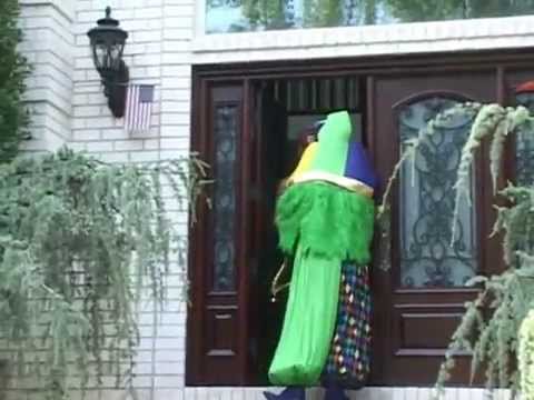 Jolly Jester delivery