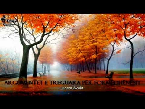 Argumentet e treguara për formëdhënësit - Adem Avdiu