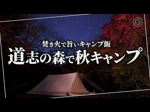 【秋キャンプ】道志の森で絶景紅葉ソロキャンプ！焚き火おでんと熱燗で最高のキャンプ飯