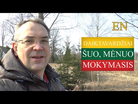 LITHUANIAN LESSON 189 - DAIKTAVARDŽIAI: ŠUO, MĖNUO, MOKYMASIS - IRREGULAR NOUNS