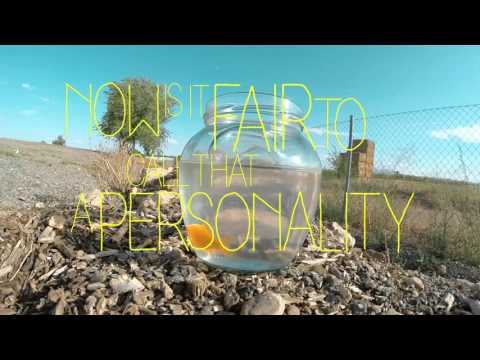 Kiriyama Family - Innocence [Official Lyric Video]