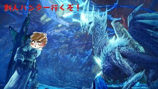 【MHW:IB】新人ハンター行きます！（IBレイギエナ狩猟～）