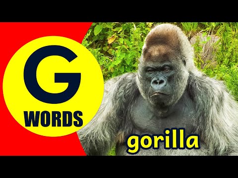 Words Starting With G - Learn Words that Start with G Sound