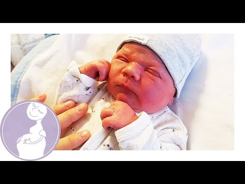 Viggo är här! - Ronja Wernersson vecka 40