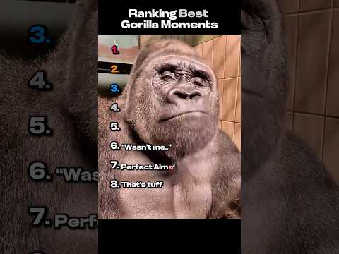Ranking Best Gorilla Moments