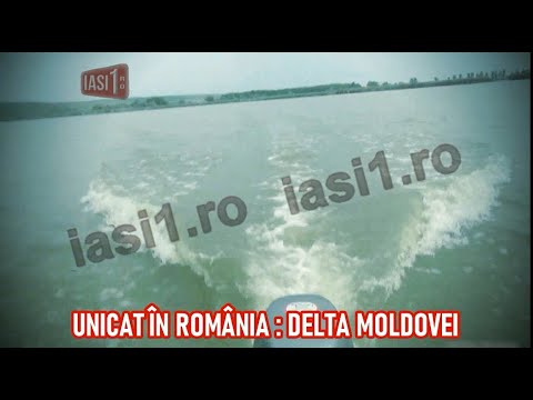 UNICAT IN ROMANIA : DELTA MOLDOVEI