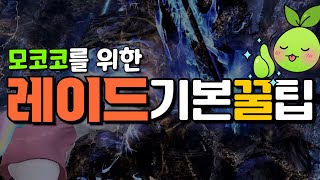 싱글모드를 벗어난 모코코를 위한 레이드 기본 꿀팁 🐝